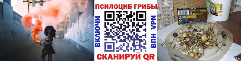 Галлюциногенные грибы Psilocybine cubensis  купить закладку  Шацк 